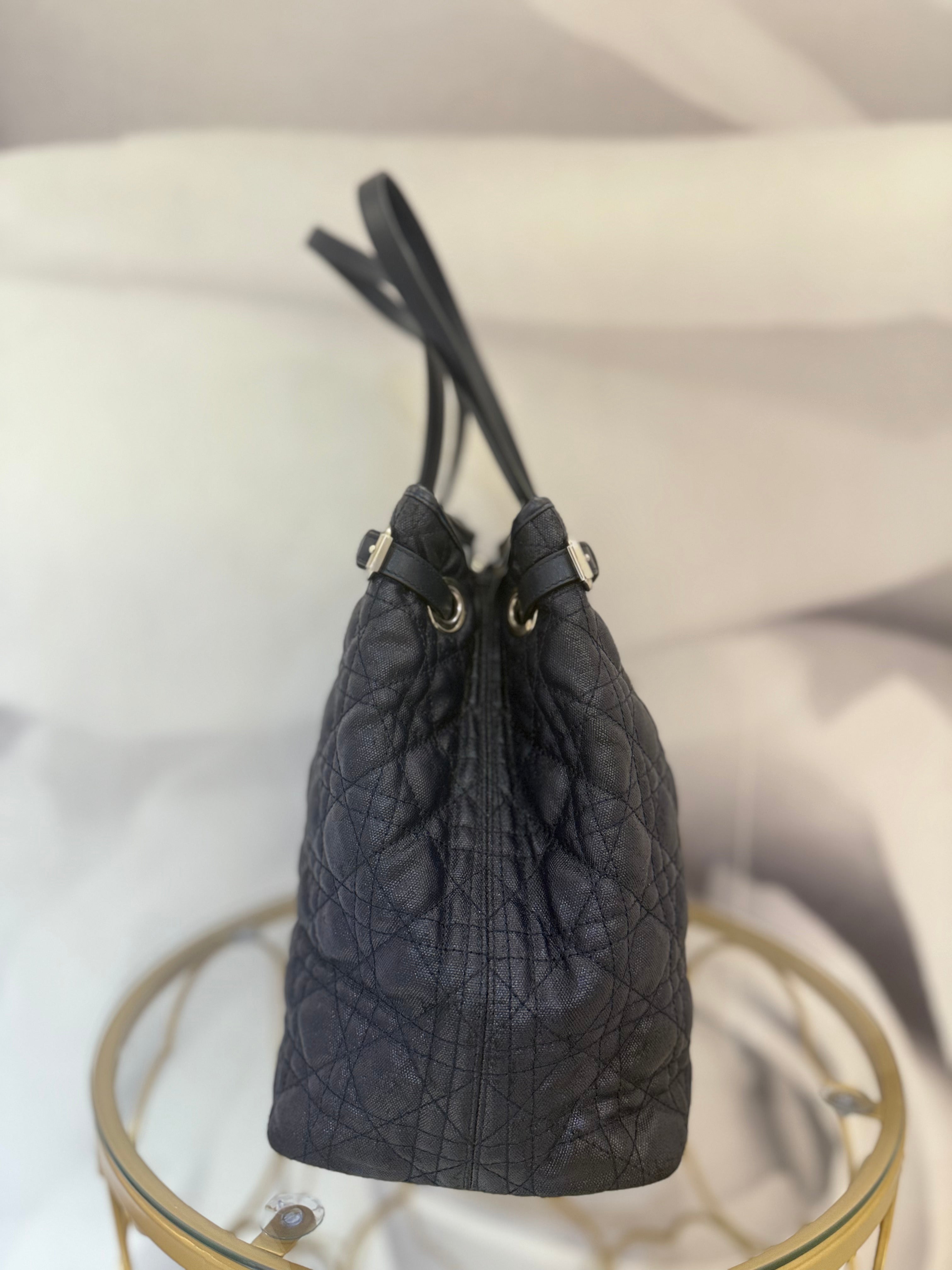 BORSA DIOR PANAREA