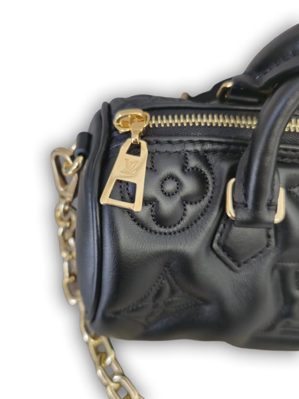 Louis Vuitton papillon BB