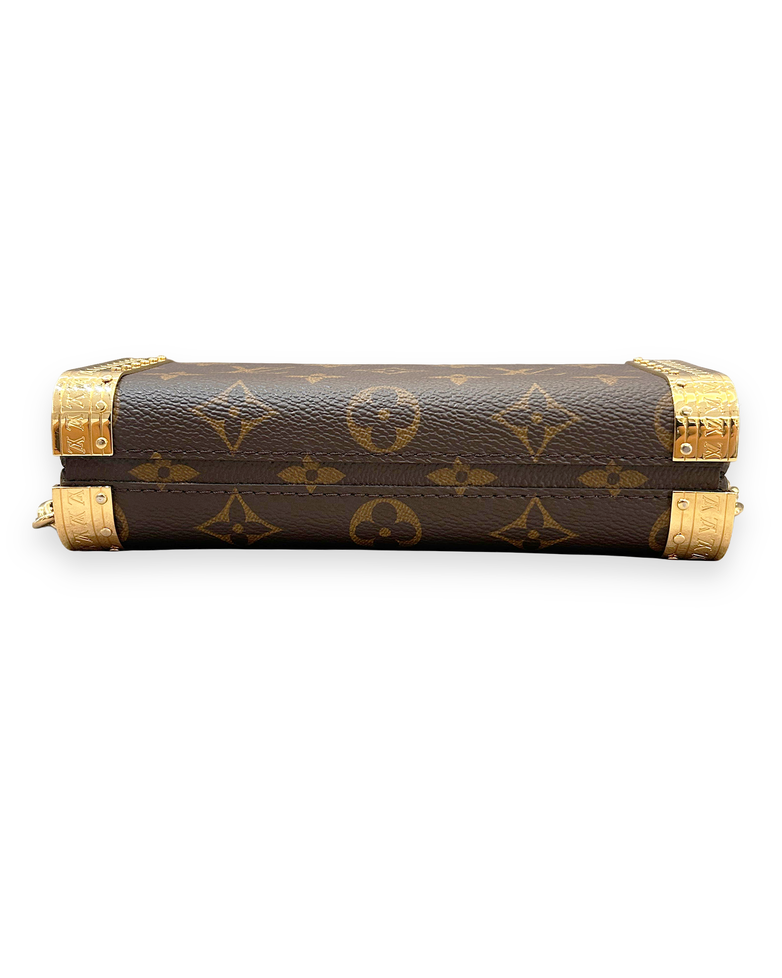 Pochette Louis Vuitton Vanity Case PM